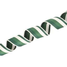 Show details for 5m Gurtband aus Polycotton - 38mm breit - 1,2mm dick - Creme/ Tannengrün/ Dunkelgrün Picture of 5m Gurtband aus Polycotton - 38mm breit - 1,2mm dick - Creme/ Tannengrün/ Dunkelgrün