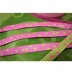 Picture of 1m Webband Design by farbenmix - 10mm breit - Punkteband rosa/lime