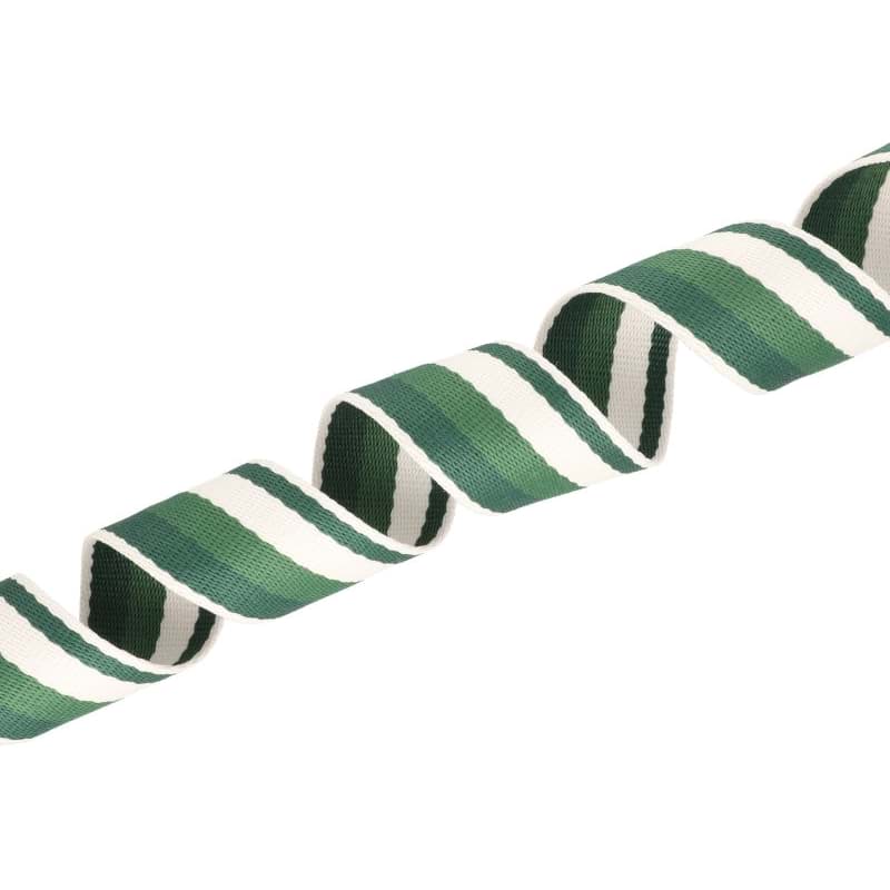 5m Gurtband aus Polycotton - 38mm breit - 1,2mm dick - Creme/ Tannengrün/ Dunkelgrün